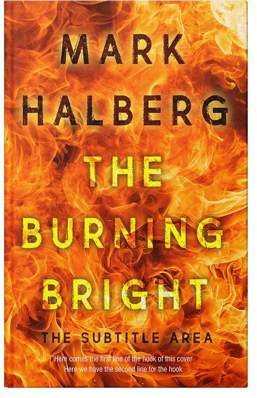 Front view of Christine #27293 - Premade Apocalyptica Book Cover