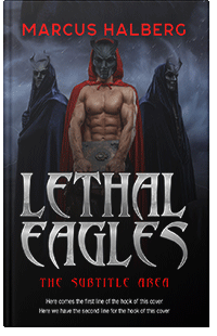 Premade cover 27314