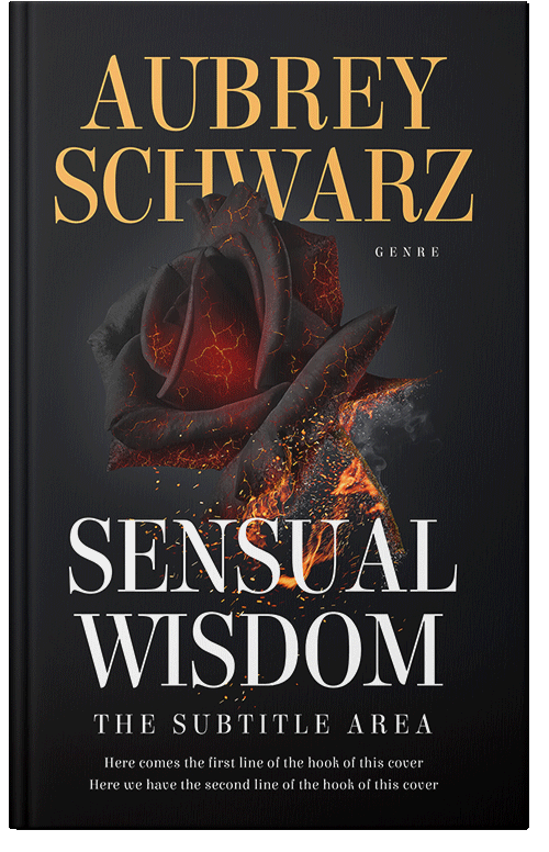 Front view of Thunder #27533 - Premade Romance Book Cover