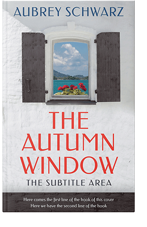 Pre Made Book Cover Ship Gray