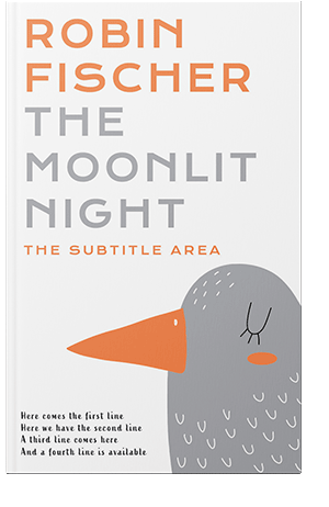 Pre Made Book Cover Silver