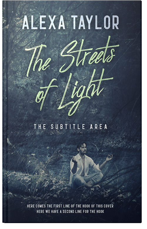 Premade cover 29079