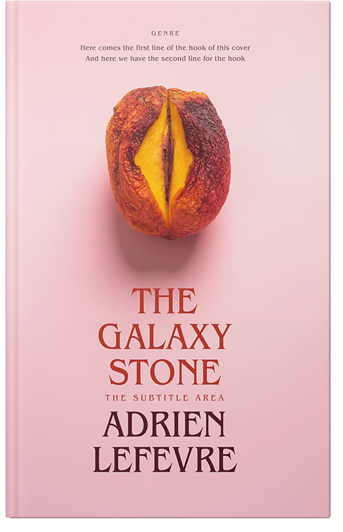 Front view of Cinderella #29280 - Premade Erotica Book Cover