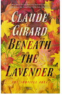 Premade cover 29801
