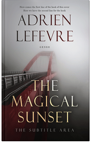 Pre Made Book Cover Silver