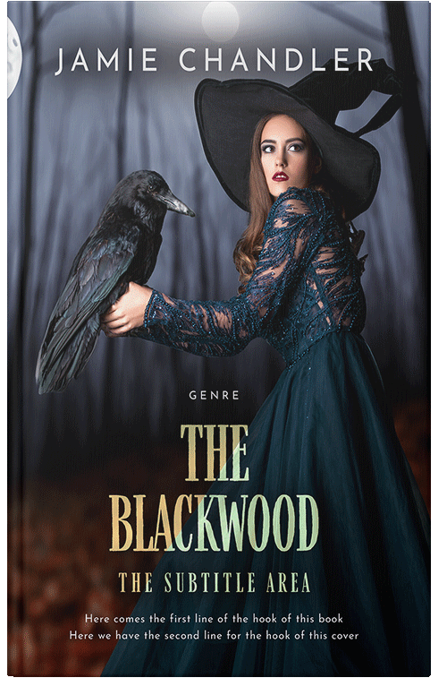 Front view of Bunker #31343 - Premade Fantasy Book Cover