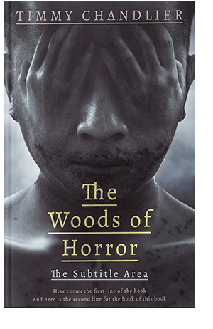 Pre Made Book Cover Ship Gray