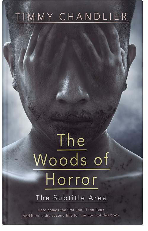 Front view of Premade Mystery & Thriller & Suspense Book Cover - Ship Gray