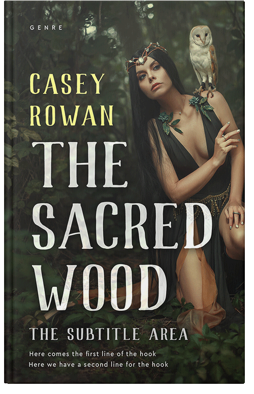 Front view of Premade Fantasy Book Cover - Chino