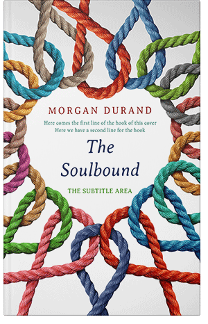 Pre Made Book Cover Blue Dianne