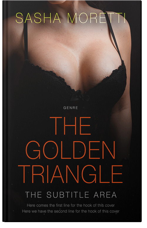 Front view of Premade Erotica Book Cover - Night Rider