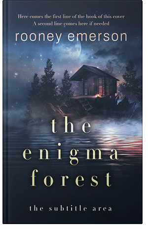 Pre Made Book Cover Big Stone