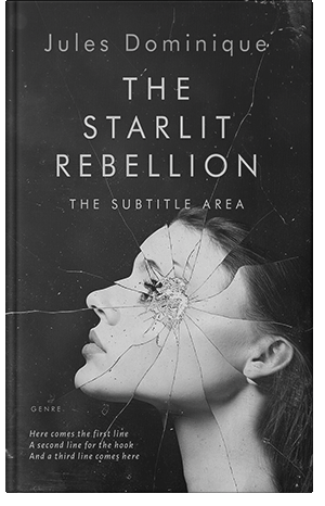 Pre Made Book Cover Silver