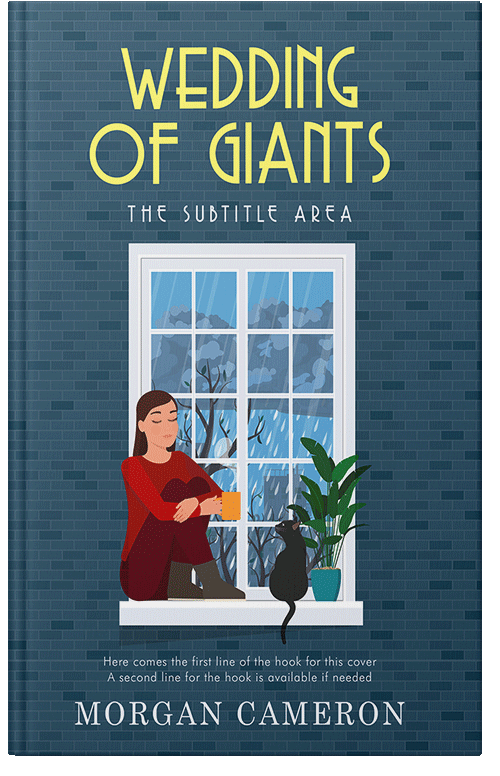 Front view of Premade Literary Fiction Book Cover - San Juan