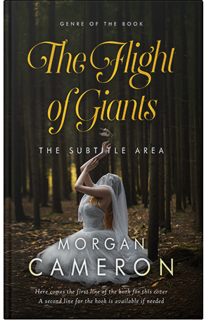 Pre Made Book Cover Eternity