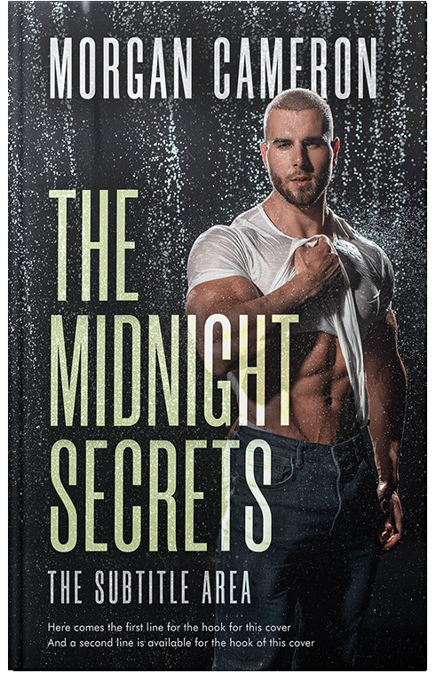 Front view of Foggy Gray #33173 - Premade Erotica Book Cover