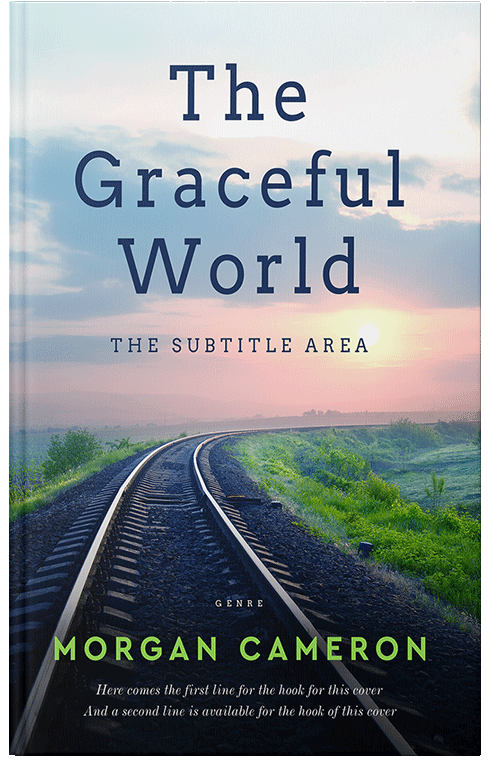 Front view of Big Stone #33244 - Premade Travel Book Cover