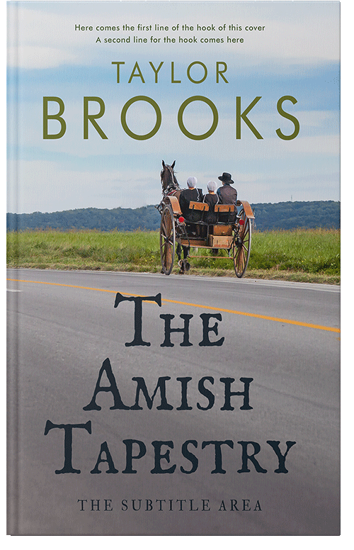 Front view of Gray Chateau #33289 - Premade Literary Fiction Book Cover