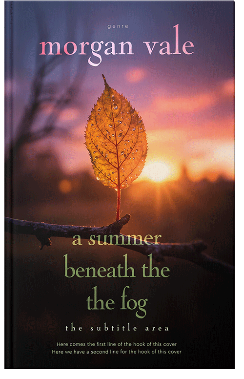 Front view of Copperfield #33738 - Premade Travel Book Cover