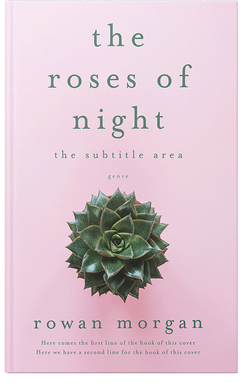 Front view of Carousel Pink #34397 - Premade Poetry Book Cover