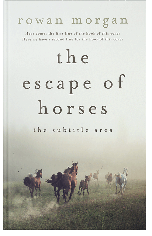 Front view of Premade Western Book Cover - Green White