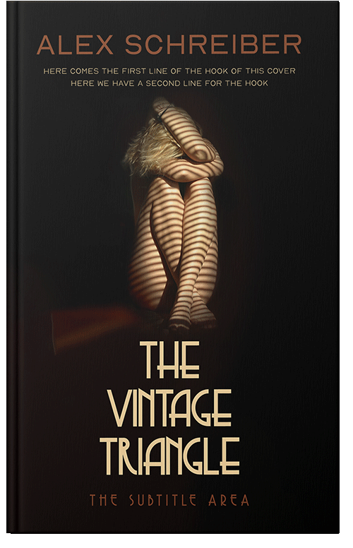 Front view of Night Rider #34809 - Premade Erotica Book Cover