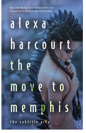 Premade Book Cover Fiord