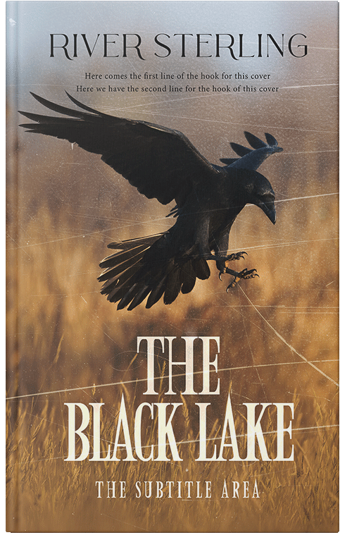 Front view of Premade Mystery & Thriller & Suspense Book Cover - Leather #36291 | BookCoverZone*