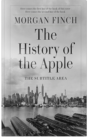 Premade Book Cover Silver