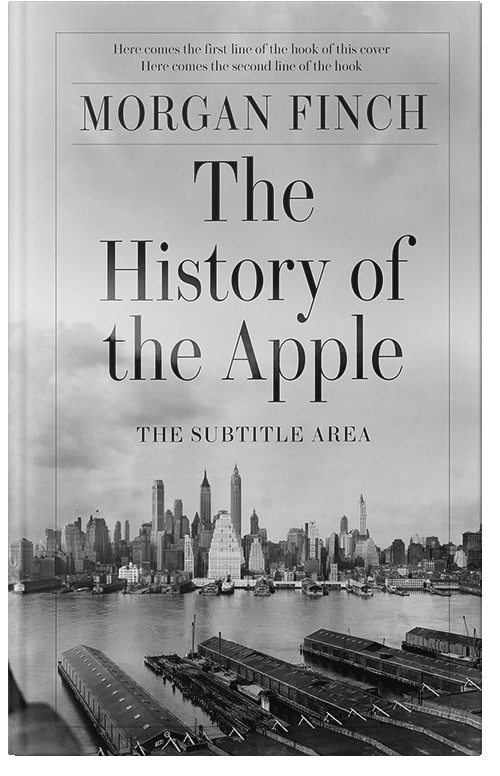 Front view of Premade Historical Book Cover - Silver #36844 | BookCoverZone*