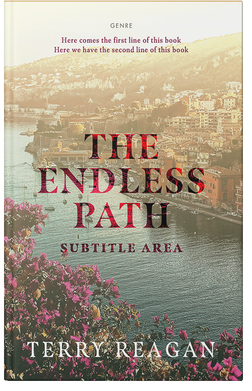 Front view of Heathered Gray #50025 - Premade Travel Book Cover