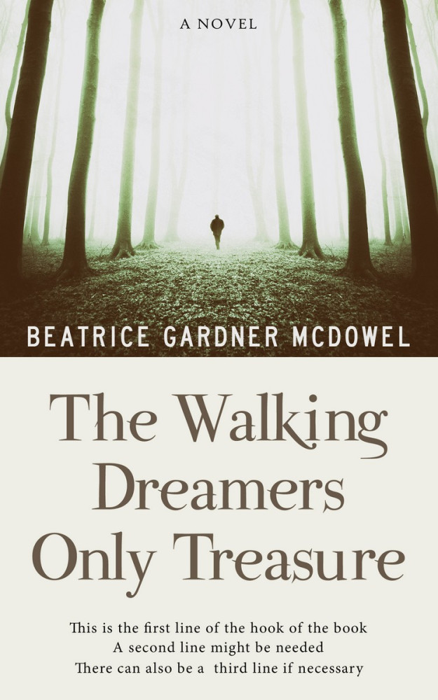 Front view of Lisbon Brown #20 - Premade Travel Book Cover