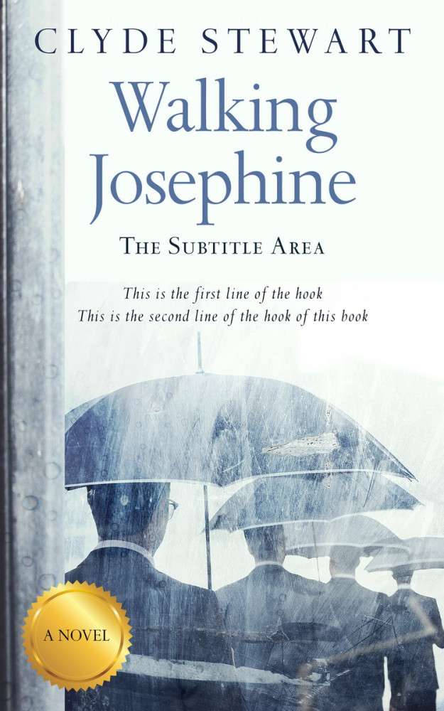 Front view of Fiord #687 - Premade Business Book Cover