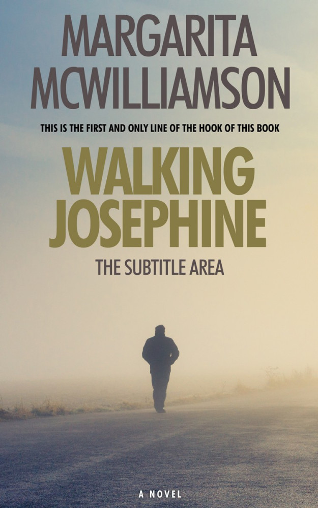 Front view of Bison Hide #713 - Premade Travel Book Cover