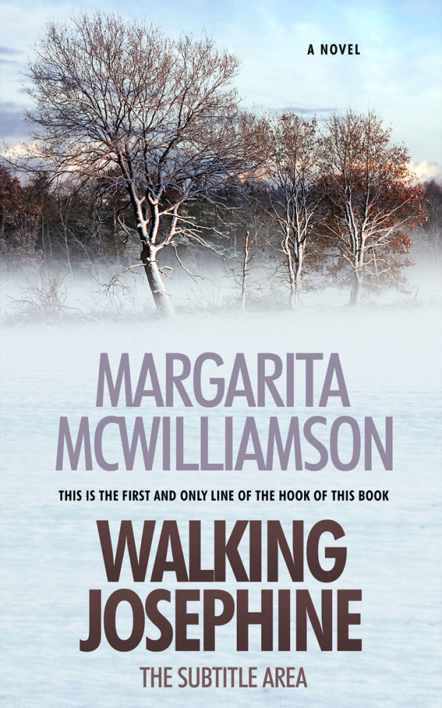 Front view of Mystic #731 - Premade Literary Fiction Book Cover