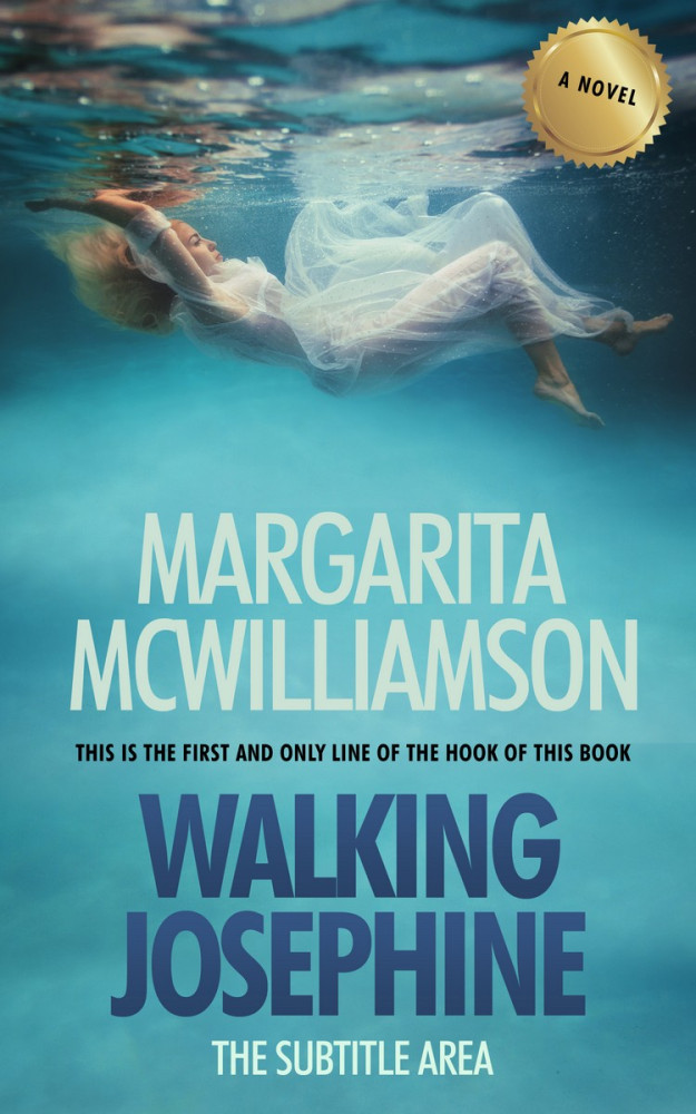 Front view of Hippie Blue #732 - Premade Mystery & Thriller & Suspense Book Cover