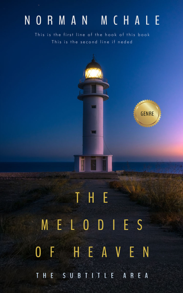 Front view of Big Stone #1047 - Premade Literary Fiction Book Cover