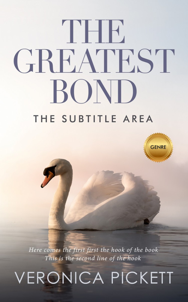 Front view of Gravel #1205 - Premade Abstract Book Cover