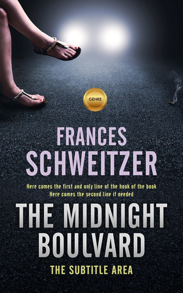 Front view of Pale Slate #1574 - Premade Erotica Book Cover