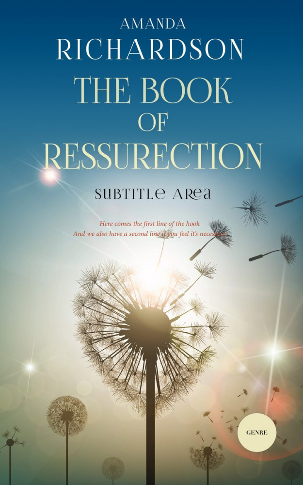 Front view of Ash #1849 - Premade Self-Improvement & Self-Help Book Cover