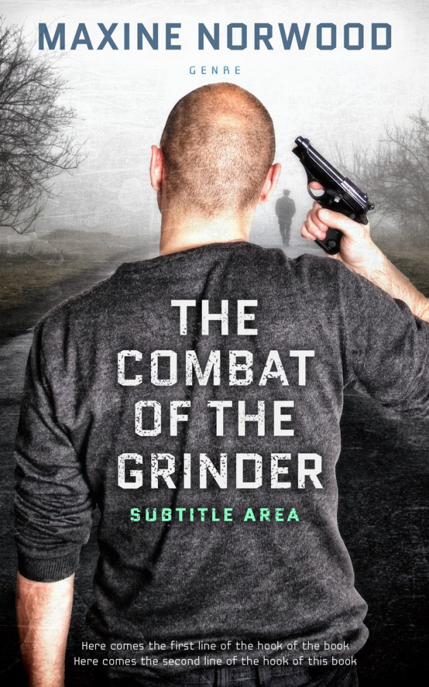 Front view of Ship Gray #1973 - Premade Literary Fiction Book Cover