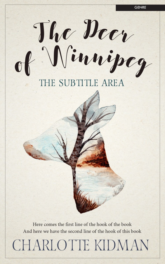 Front view of Satin Linen #2811 - Premade Abstract Book Cover