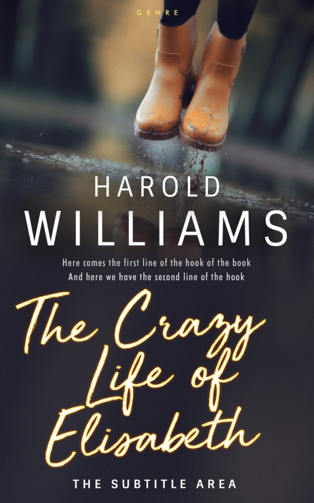 Front view of Baltic Sea #3720 - Premade Teen & Young Adult Book Cover