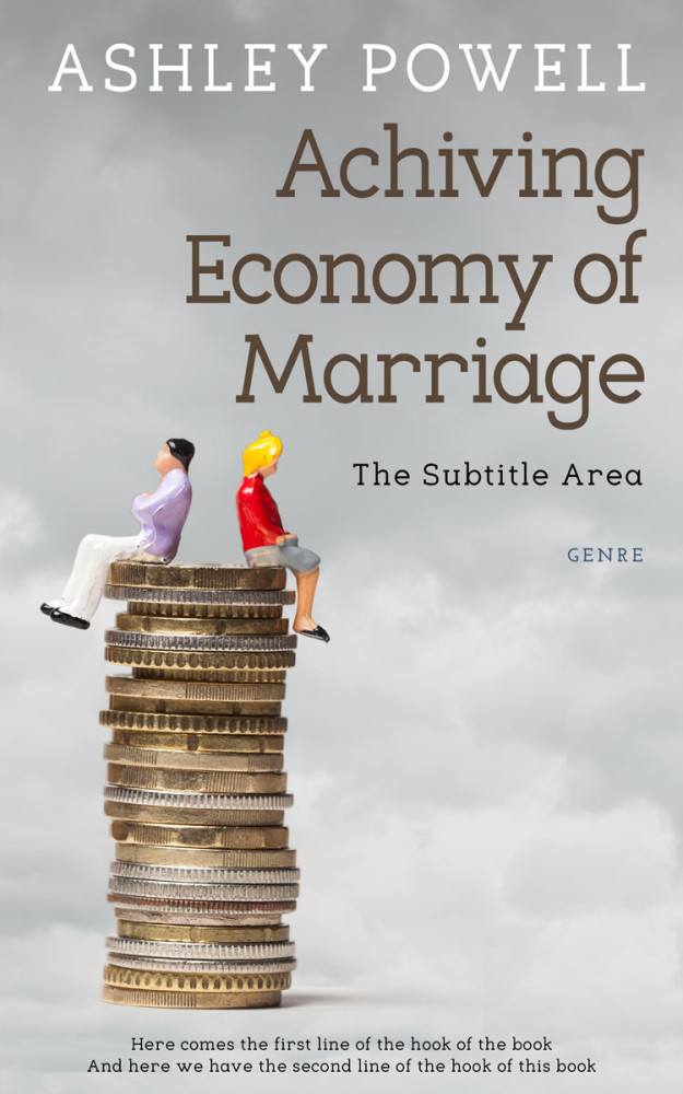 Front view of Silver #4244 - Premade Business Book Cover