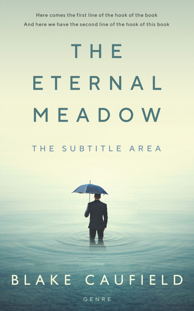 Front view of Kidnapper #4741 - Premade Abstract Book Cover