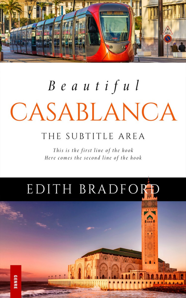 Front view of Falcon #5379 - Premade Travel Book Cover