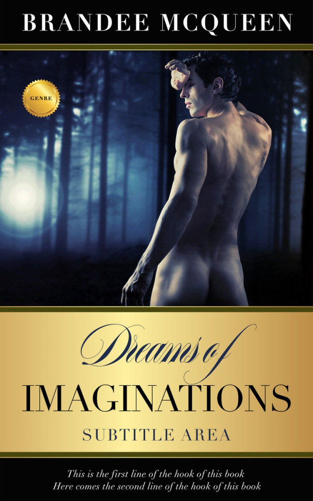 Front view of Mirage #5553 - Premade Erotica Book Cover