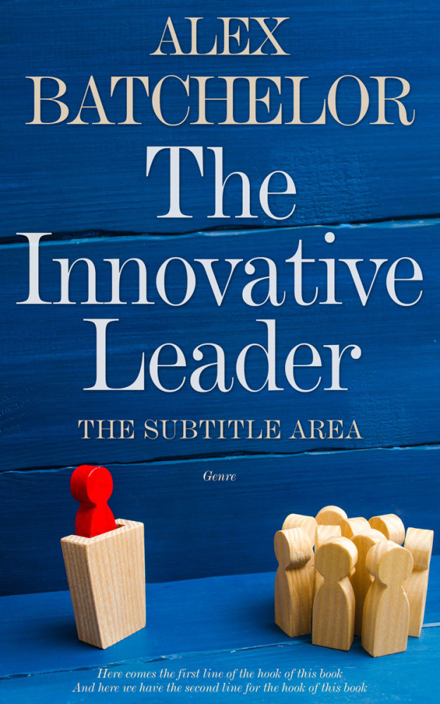 Front view of Catalina Blue #6613 - Premade Business Book Cover