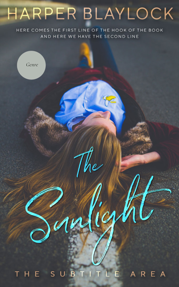 Front view of Ship Gray #6772 - Premade Teen & Young Adult Book Cover