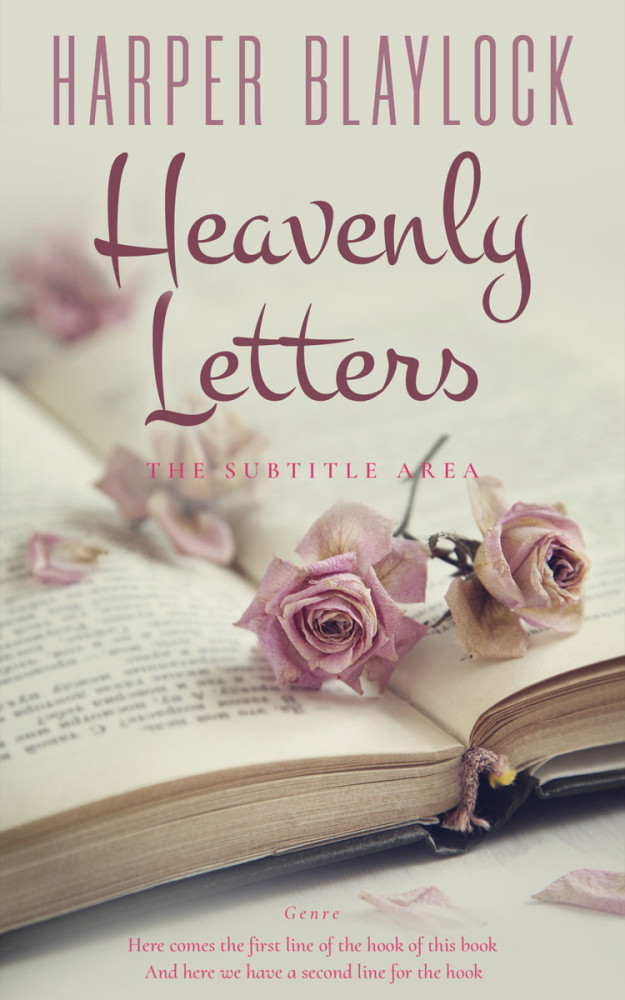 Front view of Foggy Gray #6925 - Premade Romance Book Cover